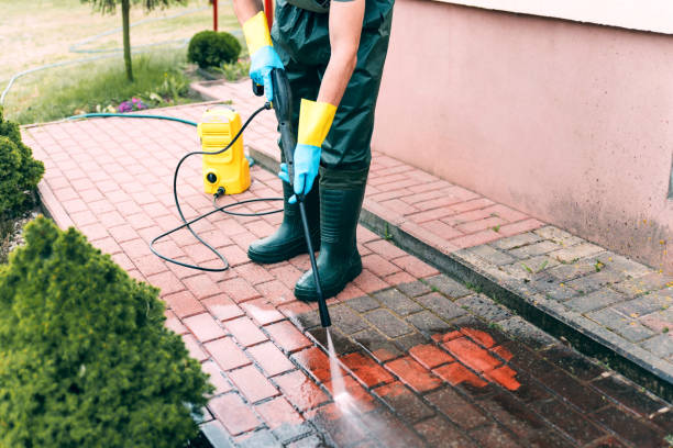 Best Solar Panel Cleaning  in English, IN